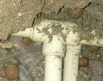 曲松测漏水多少钱