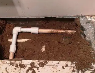 曲松测漏水哪家好