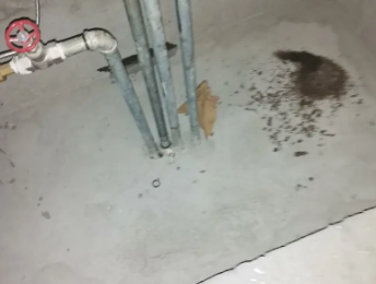 曲松卫生间测漏水价格明细